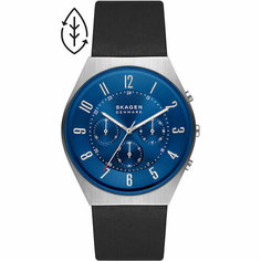 Наручные часы SKAGEN, черный