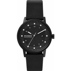 Наручные часы SKAGEN, черный