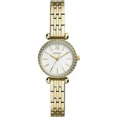 Наручные часы FOSSIL
