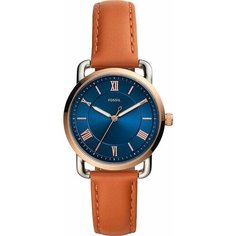 Наручные часы FOSSIL, коричневый/синий