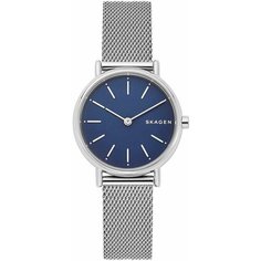 Наручные часы SKAGEN, серебристый