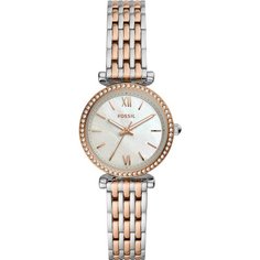 Наручные часы FOSSIL, two-tone stainless steel