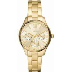 Наручные часы FOSSIL