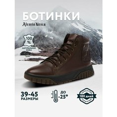 Ботинки Alessio Nesca, размер 43, коричневый