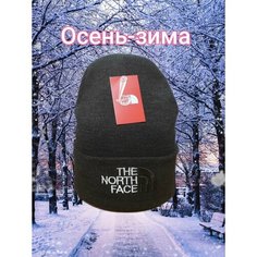 Шапка бини , размер OneSize, темно-серый Нет бренда