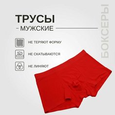 Трусы , размер 48, красный Нет бренда