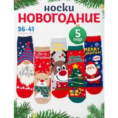 Носки Amigobs, комплект, 40 den, 5 пар, размер 36-41, красный, зеленый, голубой, серый