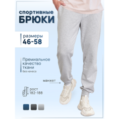 Брюки джоггеры АКТИВАМ джоггеры, размер M(48-50) рост(182-188), серый