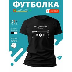 Футболка GoldenCate группа Три Дня Дождя, размер S, чёрный