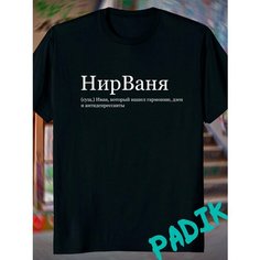 Футболка ANICLOT, размер XL, черный
