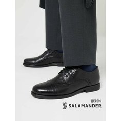 Полуботинки дерби Salamander, размер 40, черный