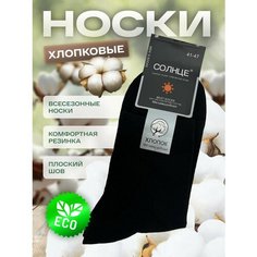 Носки Солнце Носки мужские Солнце, комплект, 10 пар, размер 41-47, черный