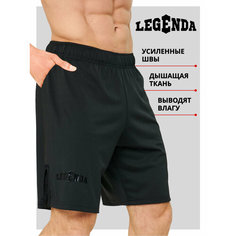 Шорты спортивные Legenda, размер 2XL, черный..