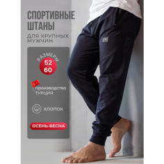 Брюки спортивные ING DROP Спортивные штаны больших размеров, размер 2XL, темно-синий