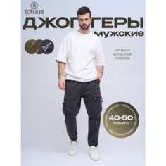 Брюки спортивные totuus Брюки джоггеры totuus, размер XL, темно-серый