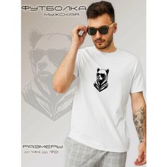 Футболка SOLAR WINGS Медведи, размер 6XL, белый