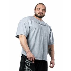 Футболка спортивная Legal Power, размер 3XL, серый