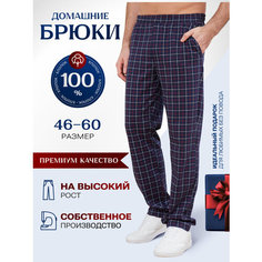 Брюки Vistyle Хлопковые, размер L, сине-красный