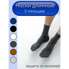 Носки , размер 37/41, темно-серый Нет бренда