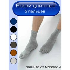 Носки , размер 37/41, серый Нет бренда