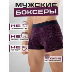 Трусы PossRis, размер 48-50, бордовый