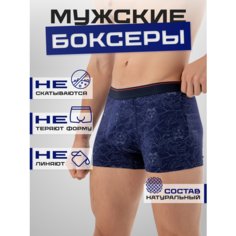Трусы PossRis, размер 48-50, синий