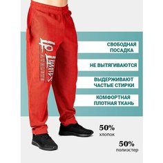 Брюки спортивные Legal Power, размер XS, красный