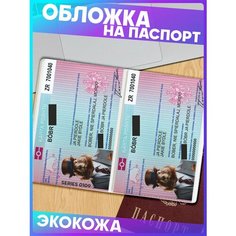Обложка для паспорта 1-я Наклейка