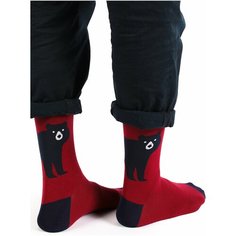Носки Tezido, размер 41-46, синий/бордовый