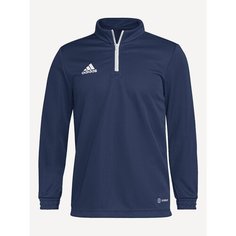 Свитшот спортивный adidas Entrada 22, размер 152, team navy blue