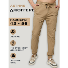 Брюки джоггеры EBSH мужские светлые без карманов, размер 32, бежевый
