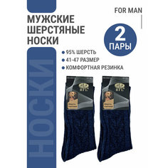 Носки BFL, комплект, 2 пары, размер 41-47, синий Bestyday