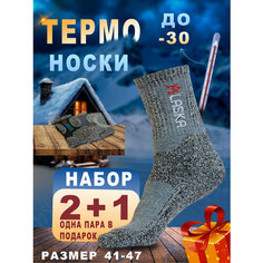 Носки Alaska, комплект, 3 пары, размер 41-47, разноцветный