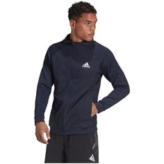 Толстовка спортивная adidas, размер M, , синий