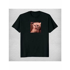 Футболка кот мем, размер XXL, чёрный Моя маikа