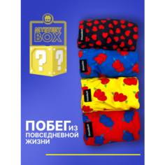 Трусы Shumiloff, комплект из 4 шт., размер 4XL, разноцветный