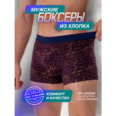 Трусы PossRis, размер 48-50, бордовый