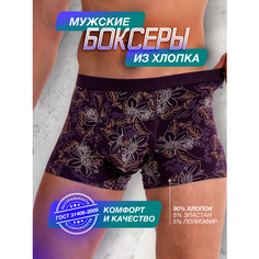 Трусы PossRis, размер 48-50, бордовый
