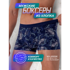 Трусы PossRis, размер 48-50, синий