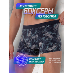 Трусы PossRis, размер 52-54, темно-серый