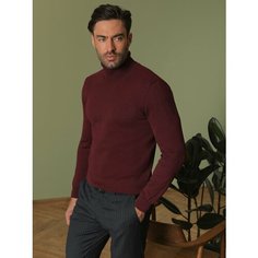 Водолазка LUIGGI FENZO, размер XXL, , бордовый