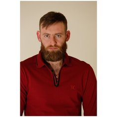 Поло ТД Коллекция, размер 2XL, бордовый