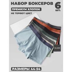 Трусы , размер 3XL, зеленый, черный, серый, голубой Salandin