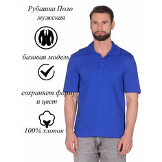 Поло Rikos, размер 48-50 170/176, василек