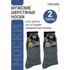 Носки BFL, комплект, 2 пары, размер 41-47, серый Bestyday