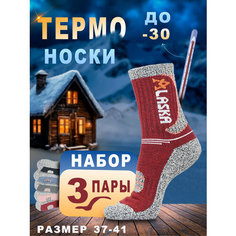 Носки Alaska, комплект, 3 пары, размер 37-41, разноцветный
