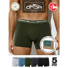 Трусы Omsa, комплект из 5 шт., размер 52(2XL), мультиколор