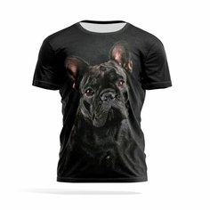 Футболка PANiN Brand, размер 4XL, черный
