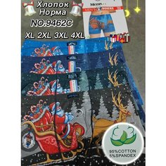 Трусы SB Нижнее белье, комплект из 4 шт., размер 48/50, голубой, синий