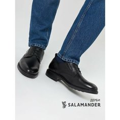 Полуботинки дерби Salamander, размер 43, черный